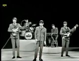 House Of The Rising Sun --- The Animals --- ( oldies )