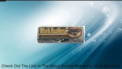 Shortys Abec-3 Black Panthers Bearings Review