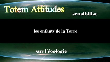 Totem  Attitudes