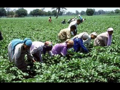 طل الصبح - أحمد سامى