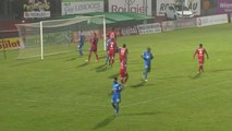 Niort - Ajaccio 2-1