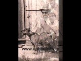 Maurice Carver Dog's. American Pit Bull Terrier. Pitbull apbt