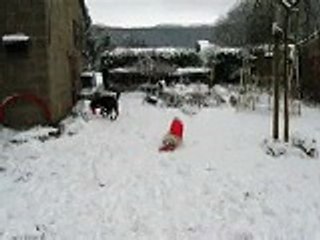 ilda decouvre sa premiere neige