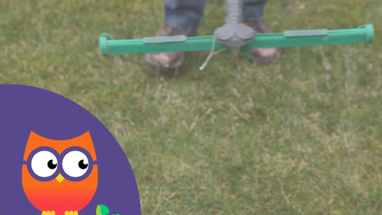 Comment traiter la pelouse (Ooreka.fr)