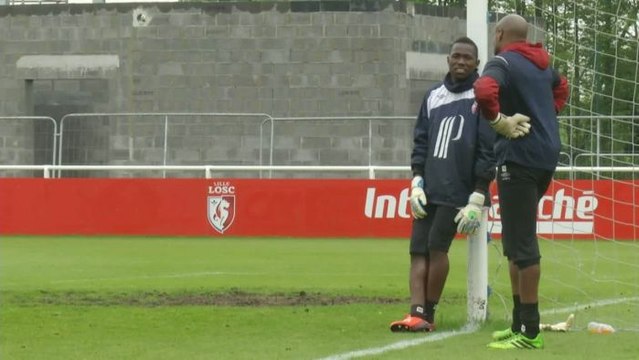 FOOT - L1 - LOSC : Lille doit faire un sans-faute