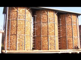 Četiri generacije Aleksića_383_17.01.2015.