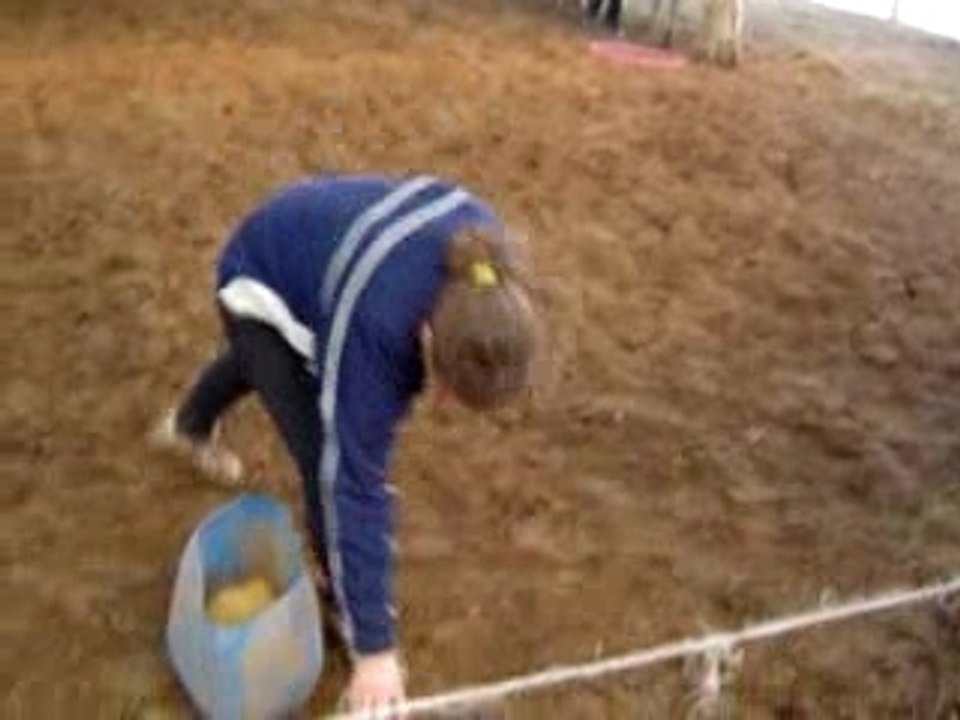 arno à poney