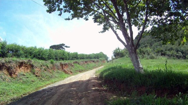 Aventura, Birdwatching, Serra da Mantiqueira, Hiking, Trilhas Rurais, rumo a Pedra do Báu, Sentido Leste, Marcelo Ambrogi, Santo Antonio do Pinhal, SP, Brasil, (2)