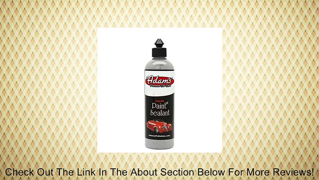 Adam's NEW Liquid Paint Sealant Review