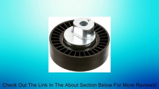 INA Acc. Belt Idler Pulley Review