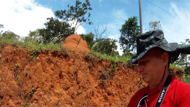 Aventura, Birdwatching, Serra da Mantiqueira, Hiking, Trilhas Rurais, rumo a Pedra do Báu, Sentido Leste, Marcelo Ambrogi, Santo Antonio do Pinhal, SP, Brasil, (16)