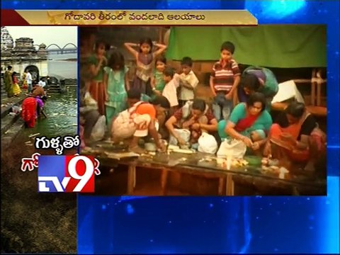 Godavari turns highly polluted, struggles to survive