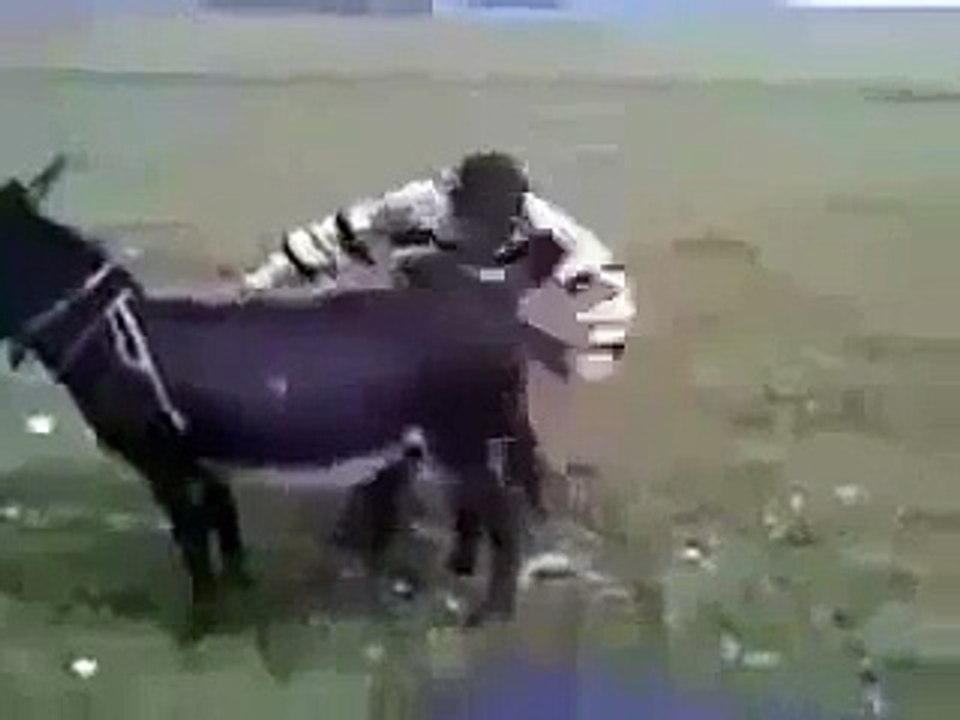 how To Ride On Donkey