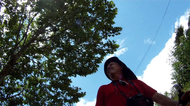 Aventura, Birdwatching, Serra da Mantiqueira, Hiking, Trilhas Rurais, rumo a Pedra do Báu, Sentido Leste, Marcelo Ambrogi, Santo Antonio do Pinhal, SP, Brasil, (18)