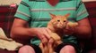 Cat Dancing Dubstep (Skrillex - Cinema) [Funny] [Cat Dancing Dubstep (Skrillex - Cinema) [FUNNY]]
