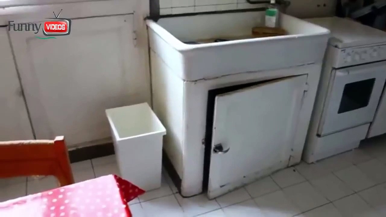 Cat Fail Miserably-funny animals