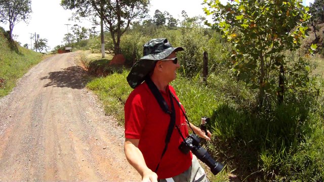 Aventura, Birdwatching, Serra da Mantiqueira, Hiking, Trilhas Rurais, rumo a Pedra do Báu, Sentido Leste, Marcelo Ambrogi, Santo Antonio do Pinhal, SP, Brasil, (23)