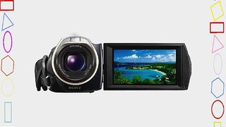 Sony Handycam HDR-CX500V 32 GB Flash High-Definition Camcorder (Black)