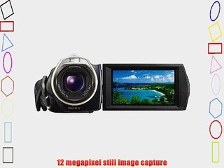 Sony Handycam HDR-CX500V 32 GB Flash High-Definition Camcorder (Black)