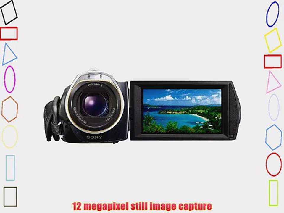 Sony Handycam HDR-CX500V 32 GB Flash High-Definition Camcorder (Black)