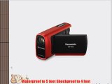 Panasonic SDR-SW20 Waterproof Flash Memory Camcorder with 10x Optical Zoom (Red)