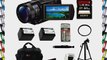Sony FDR-AX100/B FDRAX100 AX100 4K Ultra HD Camcorder (Black)   Sony 64GB SDHC Memory Card