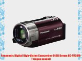 Panasonic Digital High-Vision Camcorder 64GB Brown HC-V720M-T (Japan model)