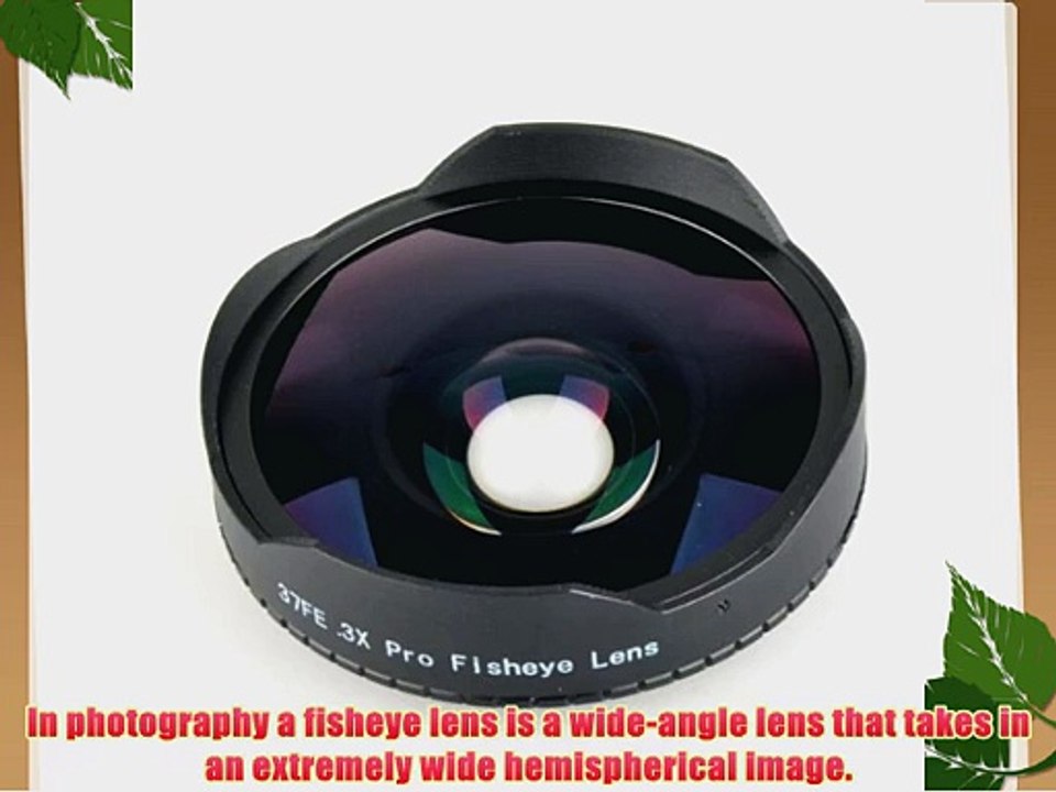 Neewer 0.3X Baby Death 37mm Fisheye Lens with Built-in Detachable MACRO Lens for Digital Video