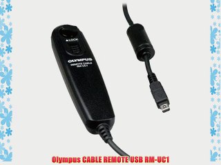 Olympus CABLE REMOTE USB RM-UC1
