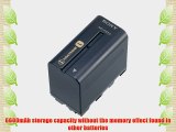 Sony NP-F970 Rechargeable L Series Info-Lithium Battery for Select Sony Cameras