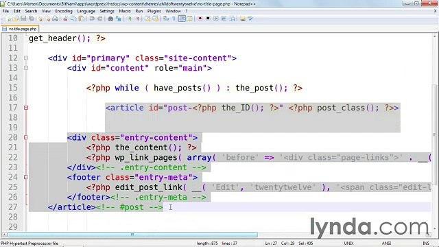 WordPress 3 Building Child Themes lecture 18 conditional