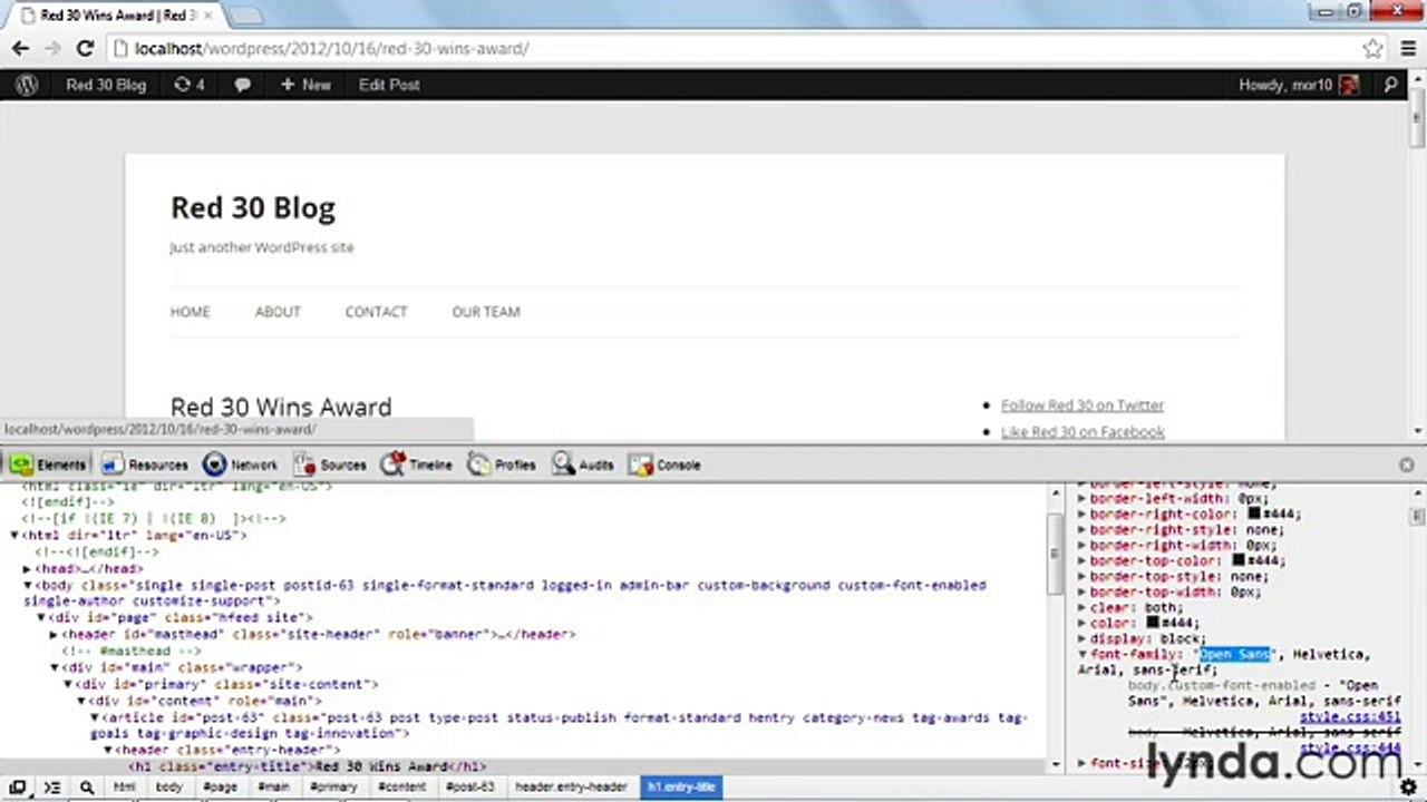 WordPress 3 Building Child Themes lecture 11 fontfamily
