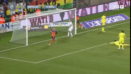 Montpellier 4 - 0 Nantes - Ligue 1 - Highlights - 24.01.2015