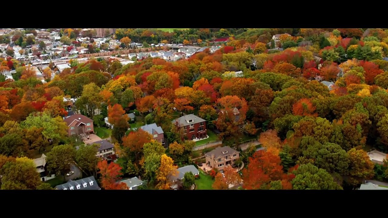 The DUFF (2015 Trailer)