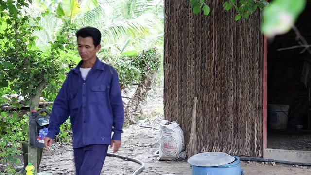 Résistantes et peu chères: un nouveau type de maisons au Vietnam