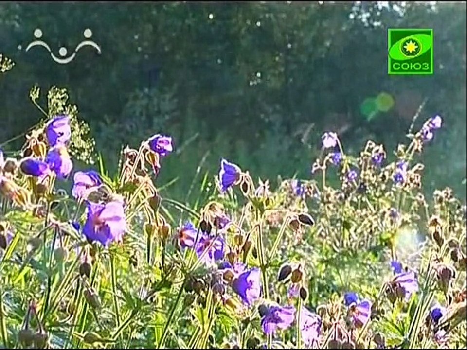 258. Второй Вселенский Собор
