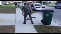 Un alligator arrêté à mains nues par un agent de police