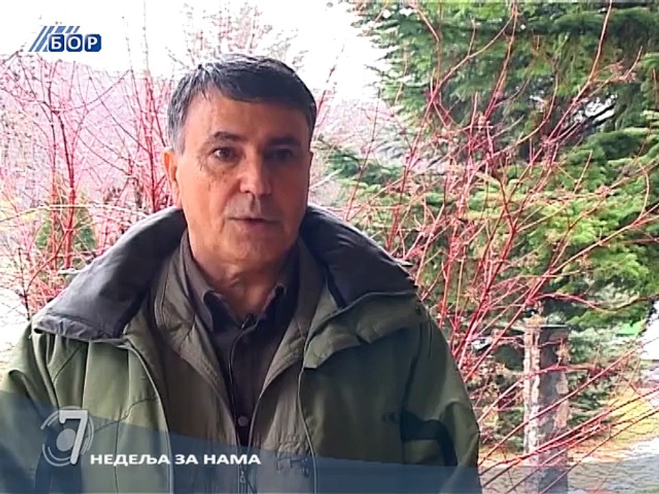 INFO  7, 25. januar 2015. (RTV Bor)