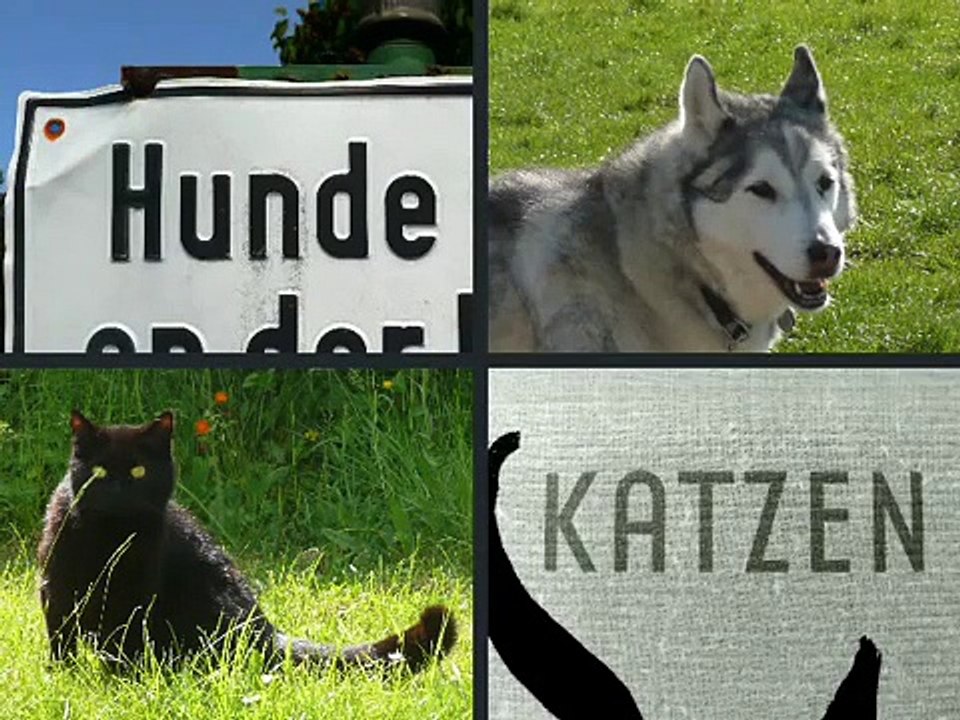 Learn German - Lesson 17