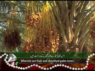 surah e rehman by Qari Sadaqat Ali