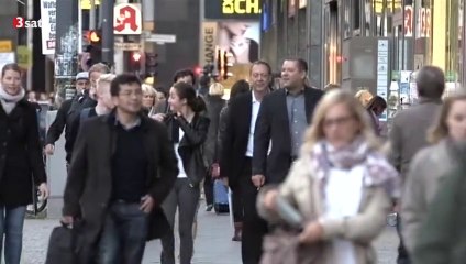 Dumm geboren und nichts dazu gelernt