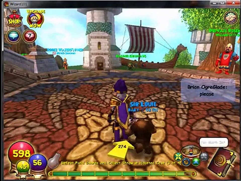 Buy Sell Accounts - Wizard101 Account Trade(8)