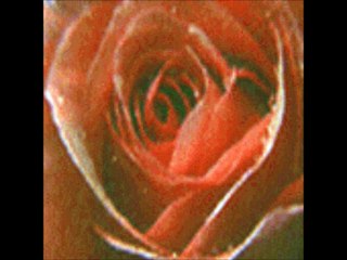 مصطفى الصافي - احبه كلش