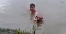 Dog's Reaction To Owner Pretending He's Drowning