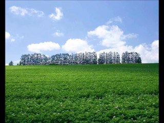 ياسر عبدالخالق - احبه كلش