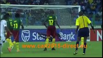 Cameroon vs Guinea 1-1 All Goals & Highlights full 24-01-2015 HD