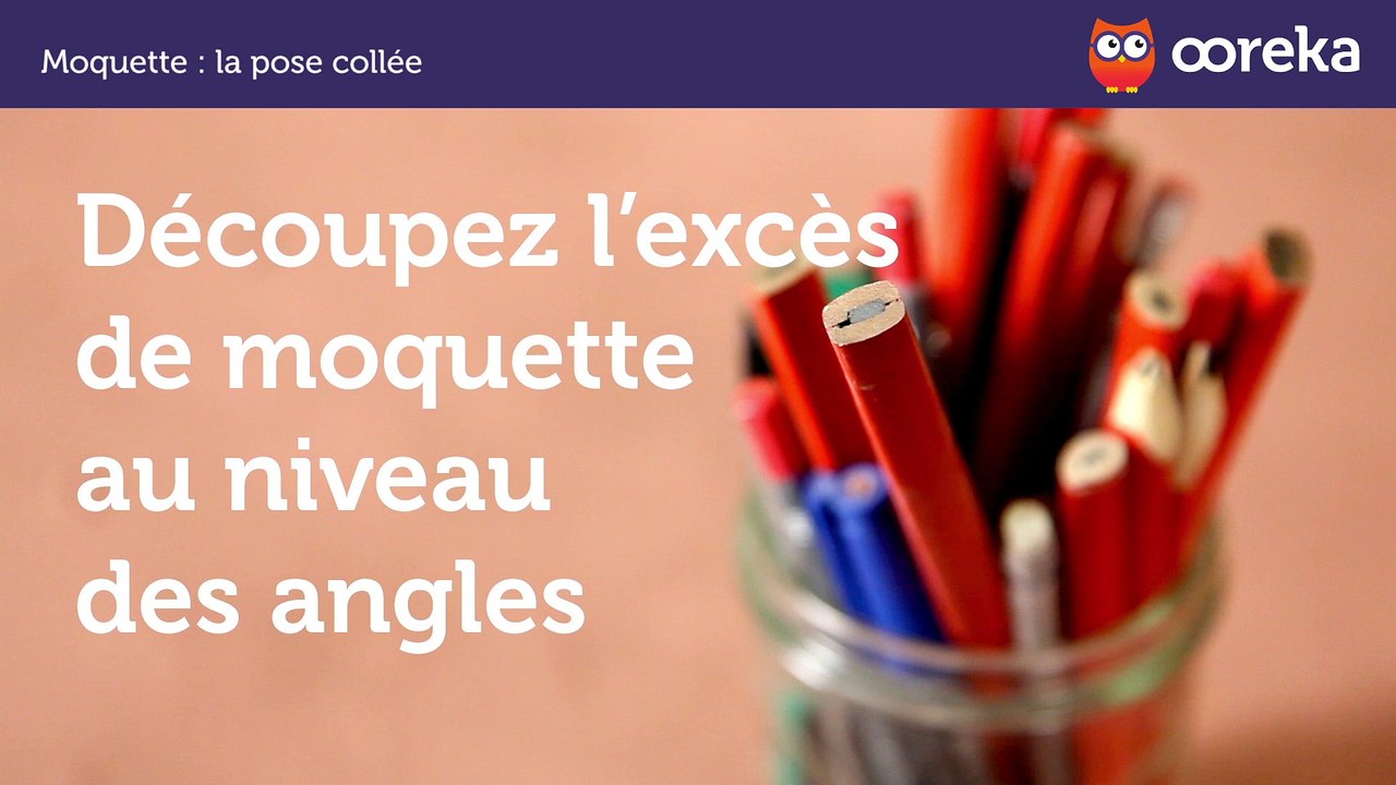 Moquette : la pose collée (Ooreka.fr)