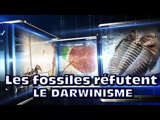 L'atlas de la création - Présentation