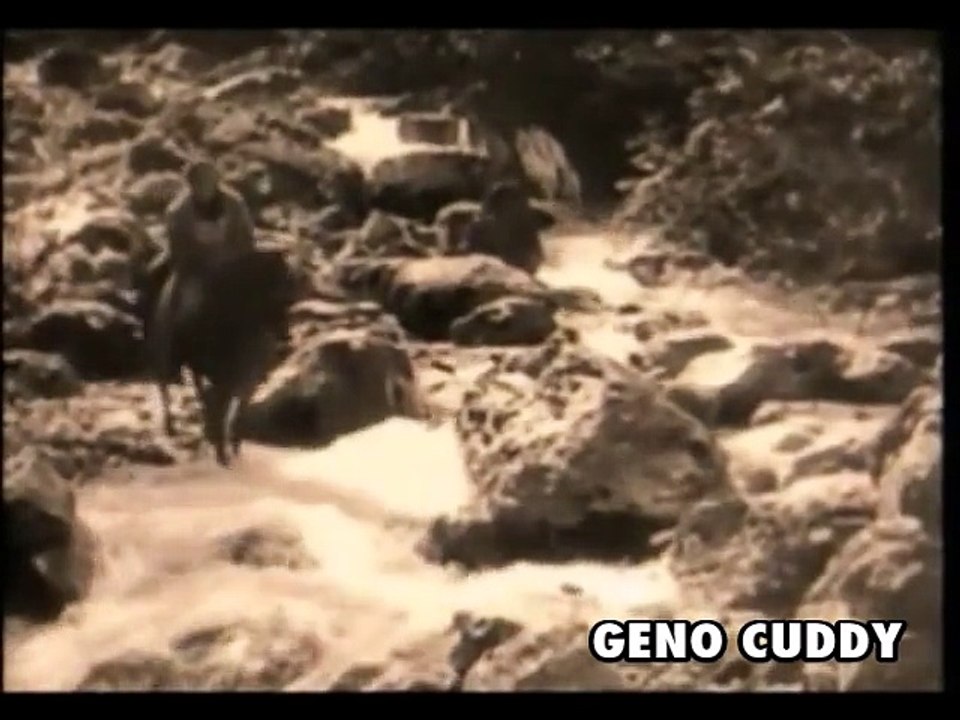 Geno Cuddy's Nosferatu [Preview Clip]