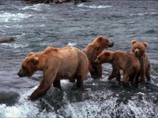 احبه كلش زايد الصالح 2015